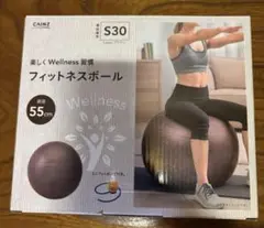 バランスボール　フィットネスボール　カインズ