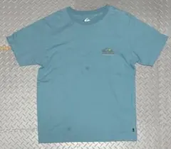 Quiksilver クイックシルバー Tシャツ Mサイズ ライトグリーン