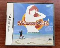 Nintendo DS きみのためなら死ねる