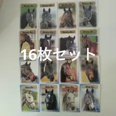 Reading Sire 、Rookie Sireトレーディングカード合計16枚