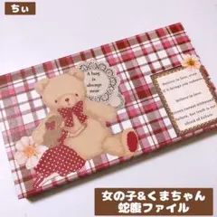 おすそ分け蛇腹ファイル 女の子 くまちゃん コラージュ素材 紙もの ハンドメイド