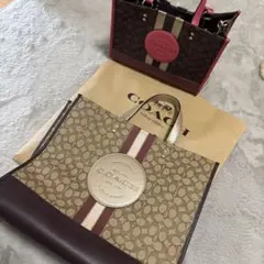 COACH バッグ 2点セット ブラウン/ピンク　デンプシー　シグネチャー