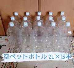 ペットボトル2L×15本