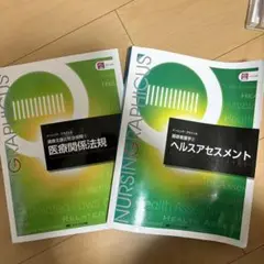 ナースグラフィカス 医療関係法規 ヘルスアセスメント