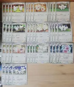 N206 ワッカネズミ イッカネズミ 進化ライン ポケモンカード ポケカ
