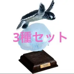 NTC 日本のカメ 特装版 ガチャ 3種セット