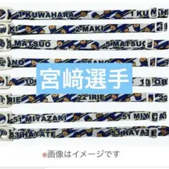 横浜DeNAベイスターズ 宮﨑敏郎 ノベルティ ペットボトルストラップ 非売品