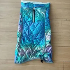 Item thumbnail for item ad88fb45-cd99-49f0-93a0-4ed282e207b2