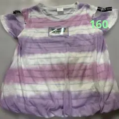 パープル ストライプ Tシャツ 160