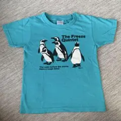 ペンギン Tシャツ 120サイズ