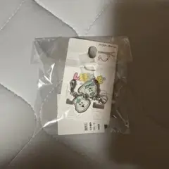 んぽちゃむ　ファスナーチャーム　新品未使用