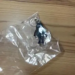 graniph キャラクター めじるしアクセサリー ビューティフルシャドー