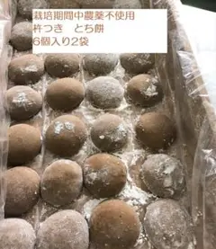 杵つき 栃もち 6個入り2袋