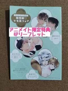 drapアニメイト連動購入4Pリーフレット◆発情期ケモ耳フェア◆欲望の月
