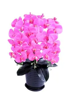 Item thumbnail for item f5368396-428d-469f-8cc0-ec8f9cb305fe