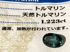Item thumbnail for item 2105efaa-6d2b-4a05-b34b-44f0f555c972