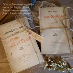 1920 フランスアンティーク ヴィンテージ 洋書 ペーパーバック ディスプレイ