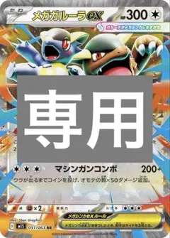 専用