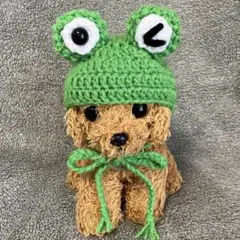 カエルの帽子♥小型犬用帽子・猫用帽子♥ハンドメイド