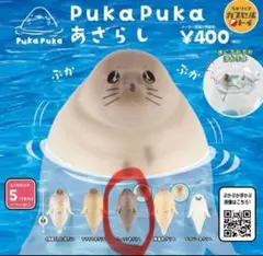 PukaPuka あざらし　にっこりあざらし
