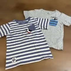 チャムスTシャツ 115-130cm 2枚セット