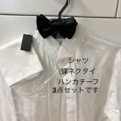 Item thumbnail for item bb1c7a36-3a6b-4bfc-8057-88e06a9278ac