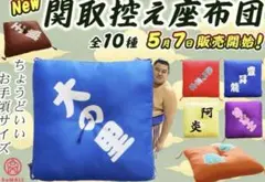 大相撲　関取控え座布団　40cm×40cm 大の里