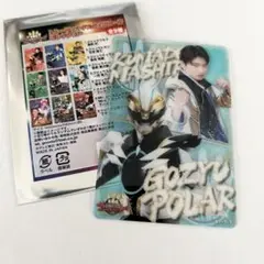 ナンバーワン戦隊　ゴジュウジャー　スタイルカード　ゴジュウポーラー　熊手真白