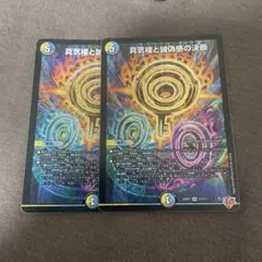 パーフェクトペテンシー2枚