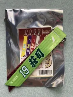 Eコレ ボンフィン　19 荘司