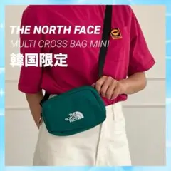 【韓国限定】ノースフェイス 2way ショルダーバッグ ウエストポーチ 新品