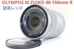 Item thumbnail for item ca582edd-ac0b-4925-89de-466d85d8d307