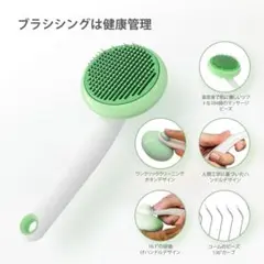 Item thumbnail for item 94cec5e0-b346-459c-9eb0-29b22e0c51a2