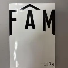 timelesz FAMツアー パンフレット　タイムレス　ツアーグッズ
