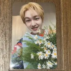ONEW オニュ PERCENT POPUP STORE トレカ