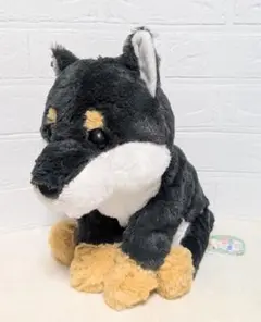 くったり 柴犬 元気いっぱい JB ぬいぐるみ 30cm くろりん