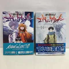 【初版】新世紀エヴァンゲリオン 13巻・14巻セット　チラシ　ハガキ付き