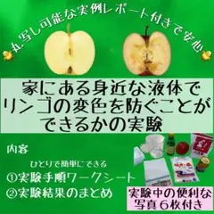 リンゴで実験　自由研究　丸写し可能　ワークブック　実験写真６枚付き　数量限定