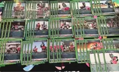 Item thumbnail for item ceb62185-c1ce-4804-aa57-73f833a3d0fd