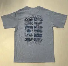 patagonia Responsibili-Tee S