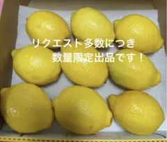国産無農薬レモン