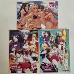 セキレイ　ブロマイド