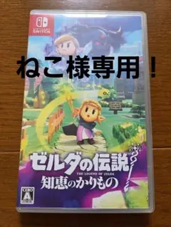 Switch ゼルダの伝説 知恵のかりもの