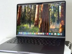 MacBook Pro 14inch 2024 M4 Max 36GB 1TB