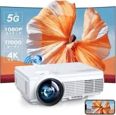 Item thumbnail for item fd8dd21f-5082-4951-9fbe-705b3f450b10