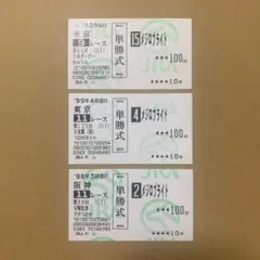 メジロブライト　日本ダービー　天皇賞　秋　単勝　馬券　2枚セット