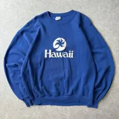 USA製 ハワイ スウェット ブルー XL