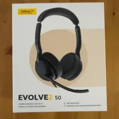 Item thumbnail for item 2236fb7c-f748-4217-8641-0524f240a4af