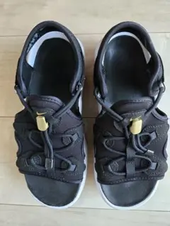 Item thumbnail for item 1ca2b000-4d95-4391-b544-2504ce3b12b6