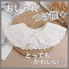レース 刺繍 ホワイト 白 つけ襟 フリル 襟 おしゃれ 韓国 かわいい 春 夏